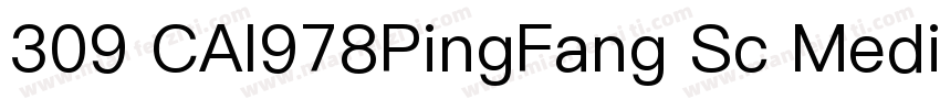 309 CAI978PingFang Sc Medium字体转换